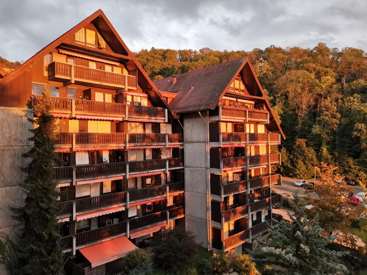 Gaishoell-Wasserfaelle Apartment Schwarzwald Sasbachwalden Exteriör bild