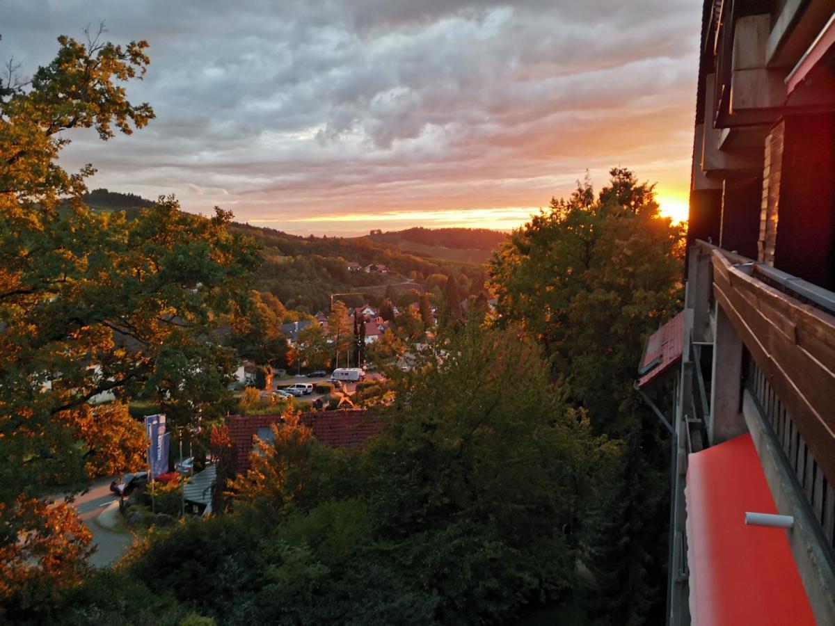Gaishoell-Wasserfaelle Apartment Schwarzwald Sasbachwalden Exteriör bild